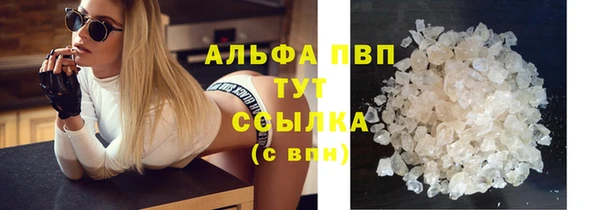 крисы Магас