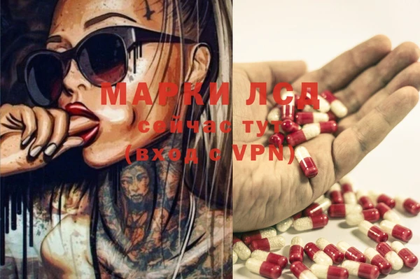 спиды Магадан