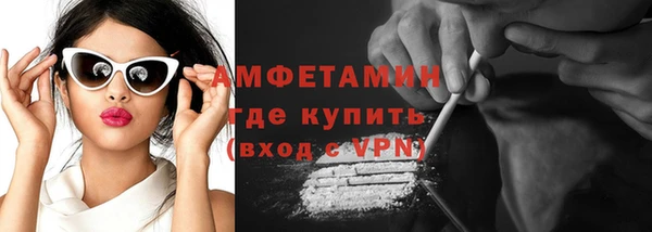 крисы Магас