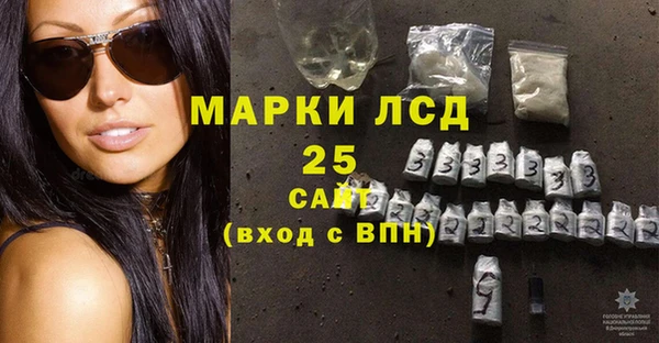 крисы Магас