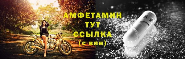 крисы Магас
