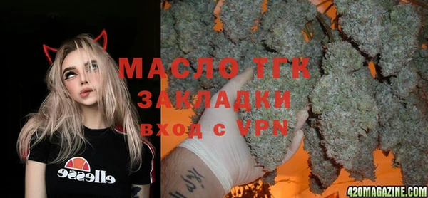 крисы Магас