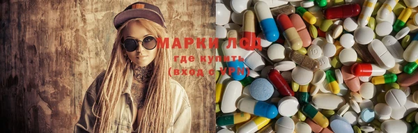 крисы Магас