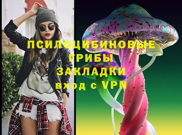 крисы Магас